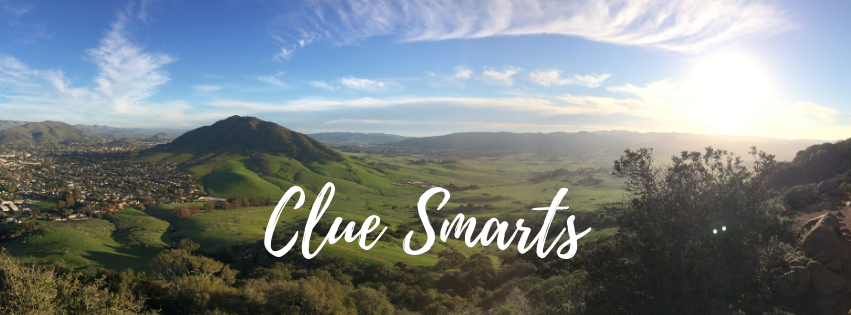 Clue Smarts Header Logo